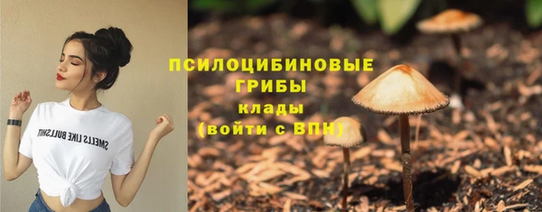 хмурый Иннополис