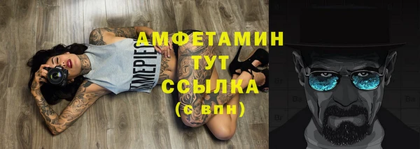 ALPHA PVP Инсар