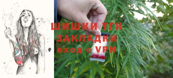 ALPHA PVP Инсар