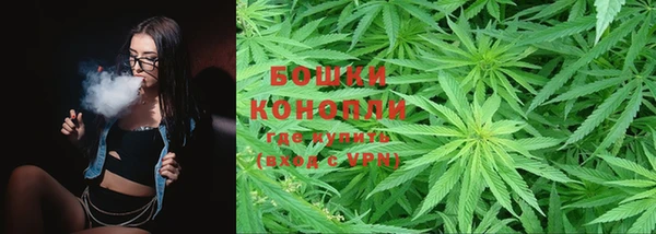 ALPHA PVP Инсар