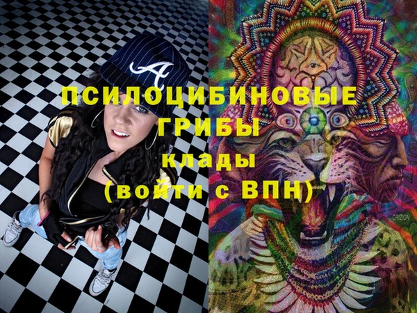 ALPHA PVP Инсар